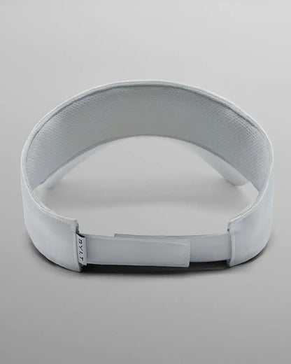 Visor